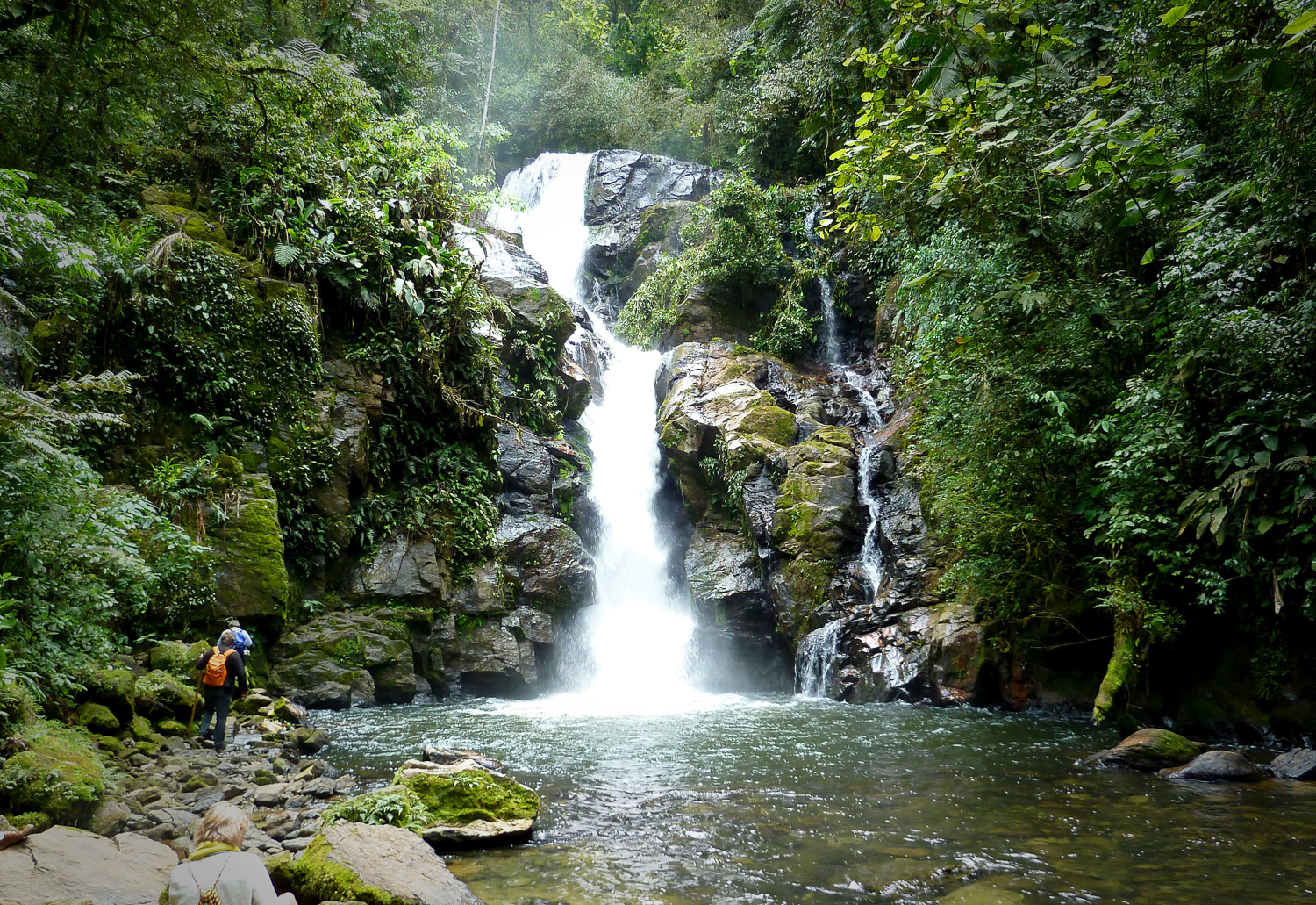Waterfall : Cachoeira do chá