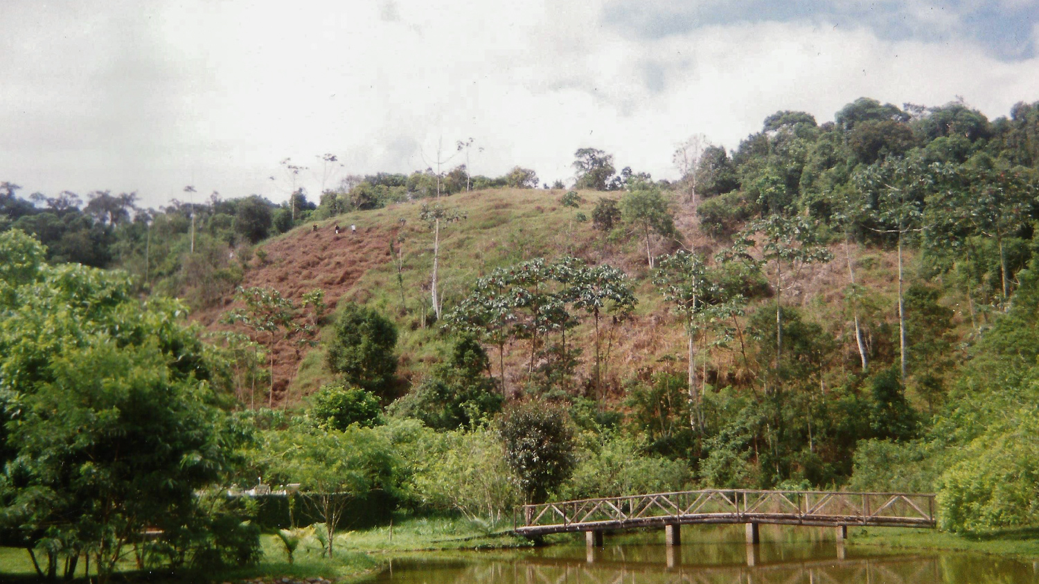 View of the eco-lodge salve floresta